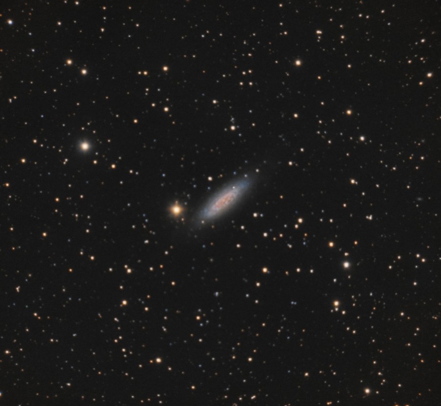 ngc_6503